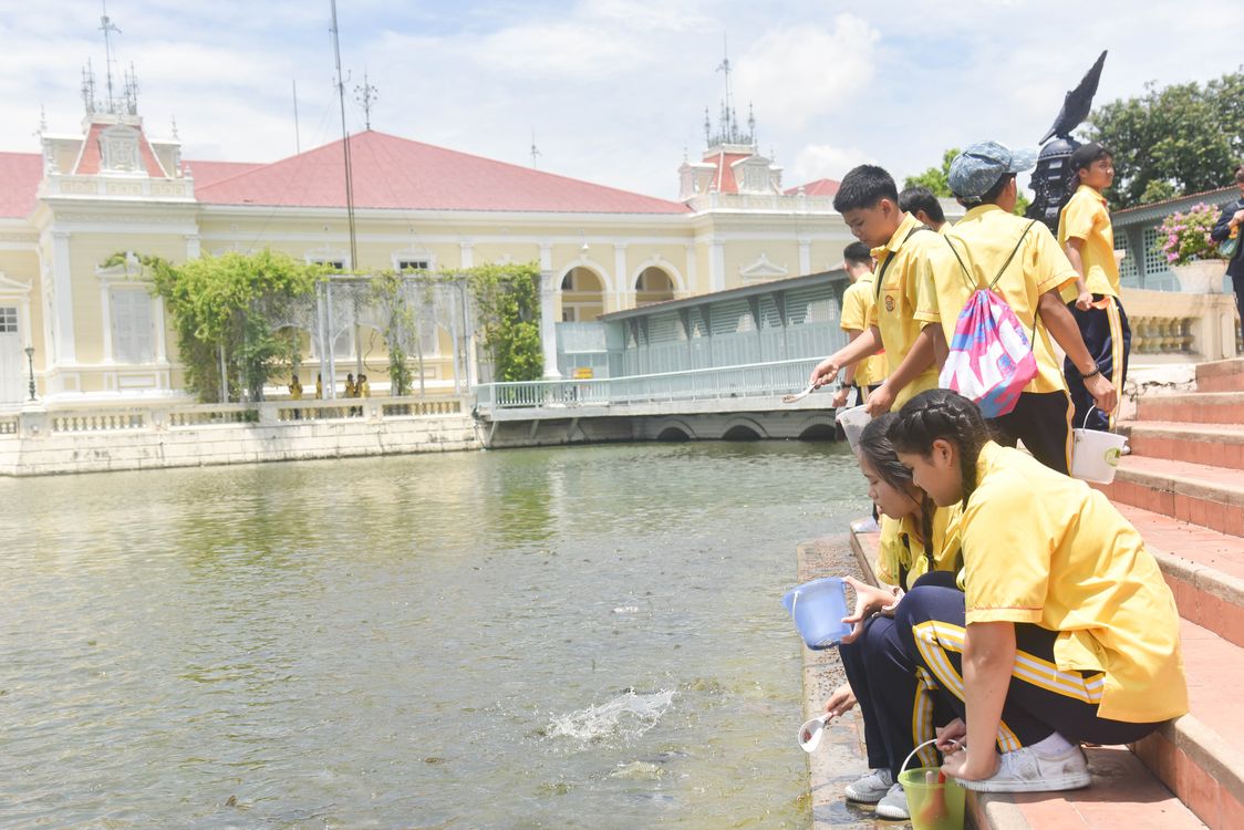 โรงเรียนปรีชานุศาสน์