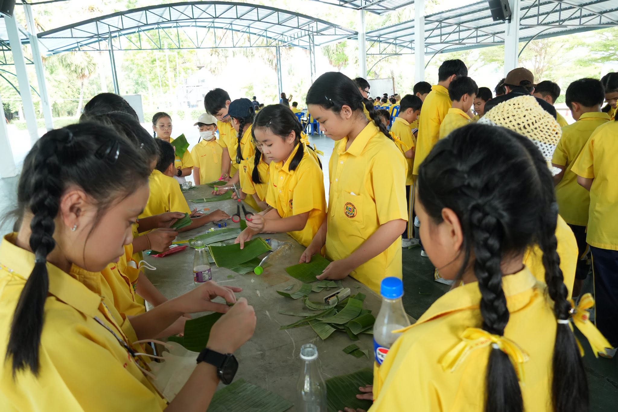 โรงเรียนปรีชานุศาสน์