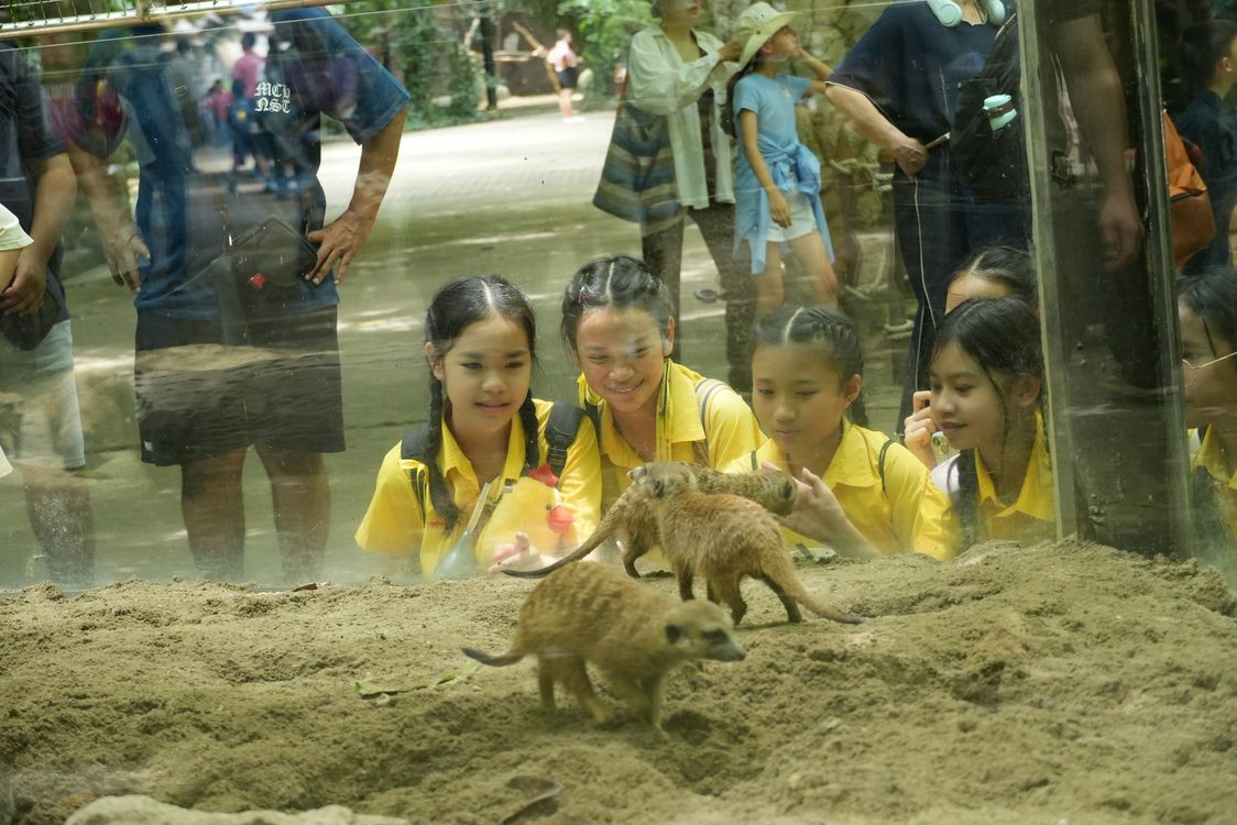 โรงเรียนปรีชานุศาสน์