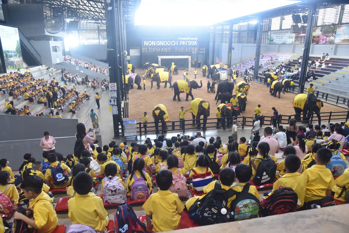 โรงเรียนปรีชานุศาสน์