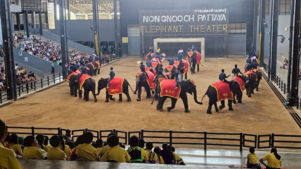 โรงเรียนปรีชานุศาสน์