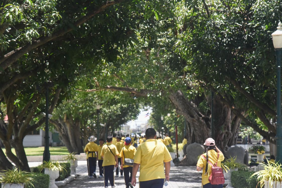 โรงเรียนปรีชานุศาสน์