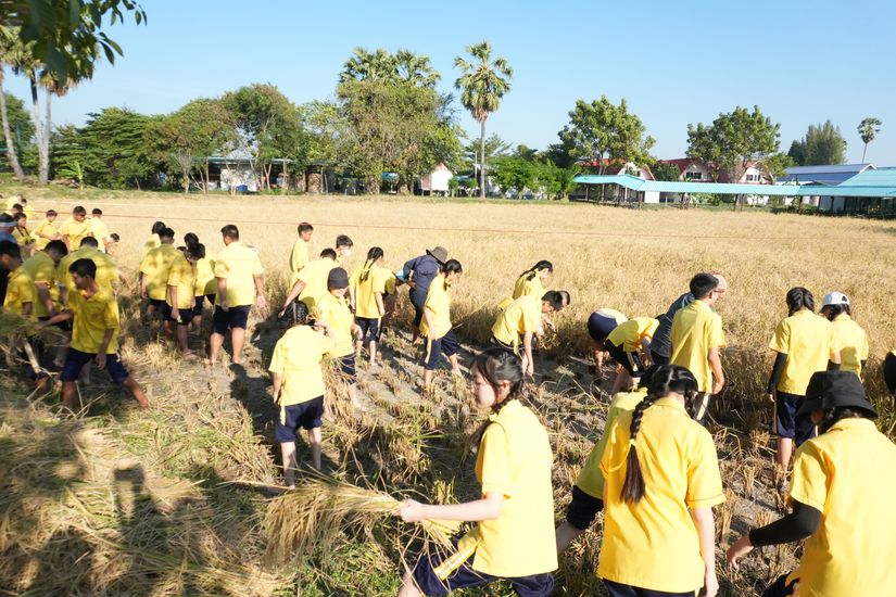 โรงเรียนปรีชานุศาสน์