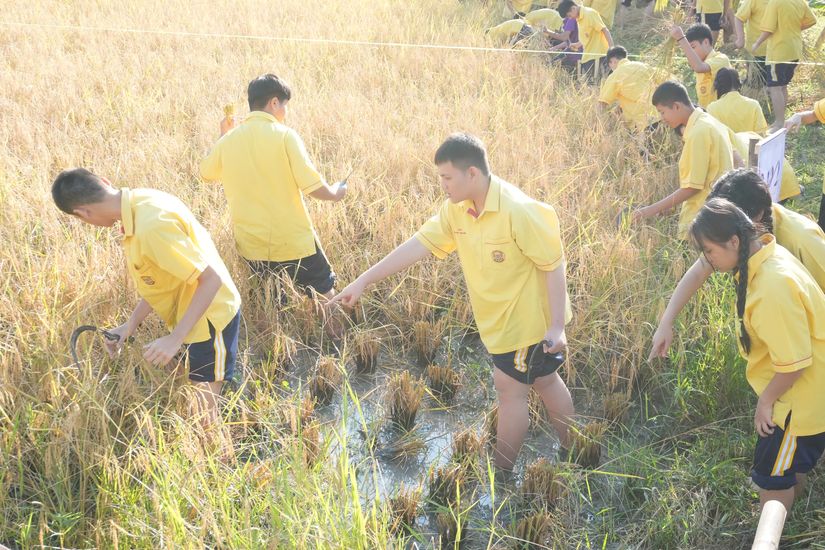 โรงเรียนปรีชานุศาสน์