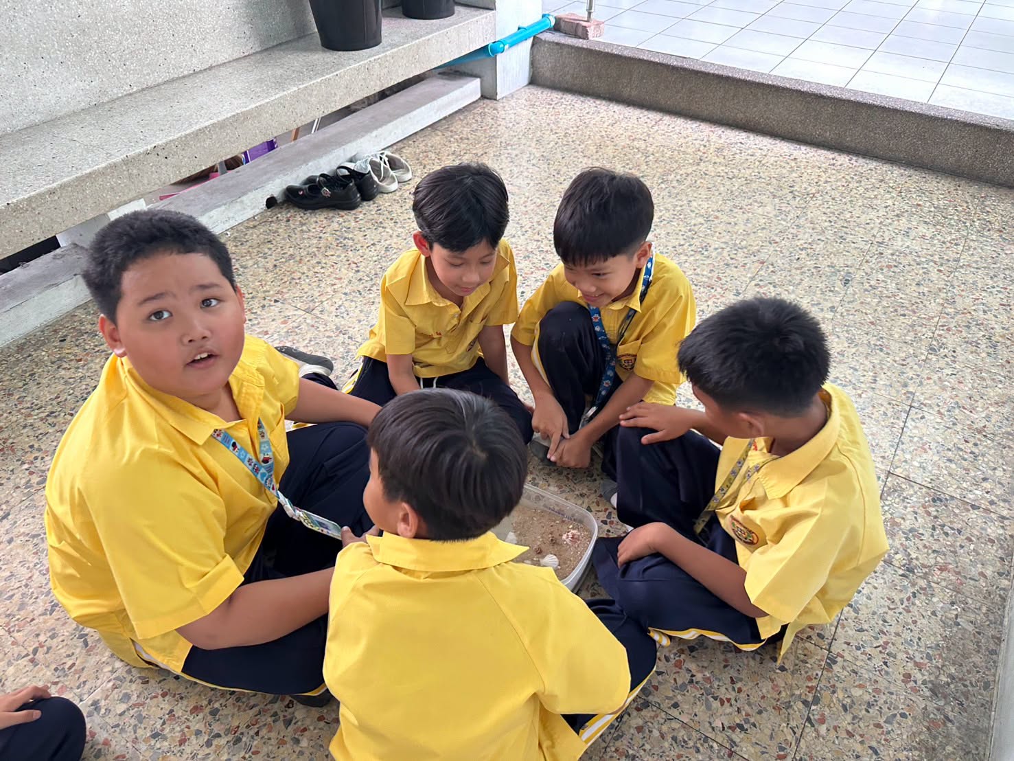 โรงเรียนปรีชานุศาสน์