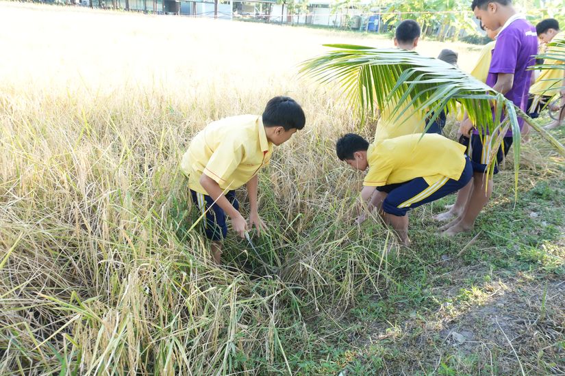 โรงเรียนปรีชานุศาสน์